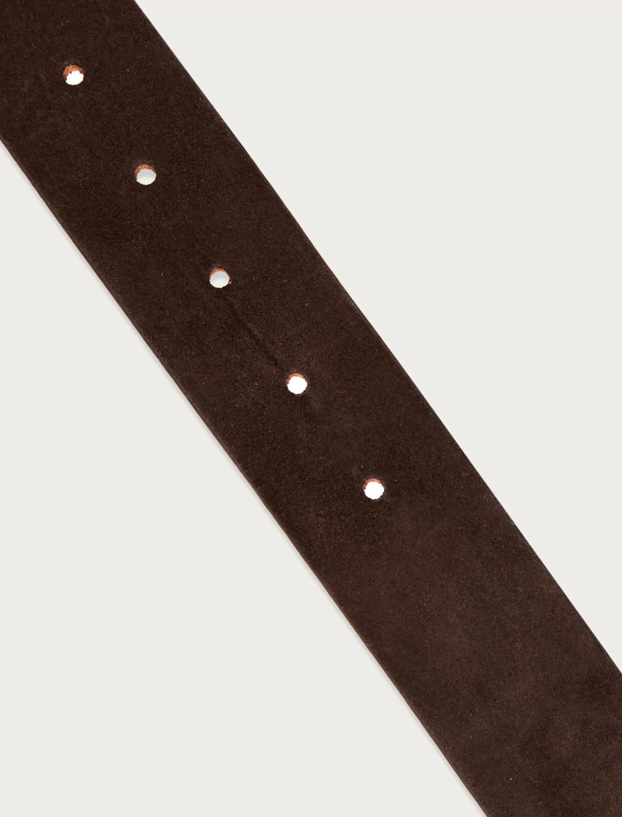 Lucky Brand Belts*distressed suede leather belt dark brown