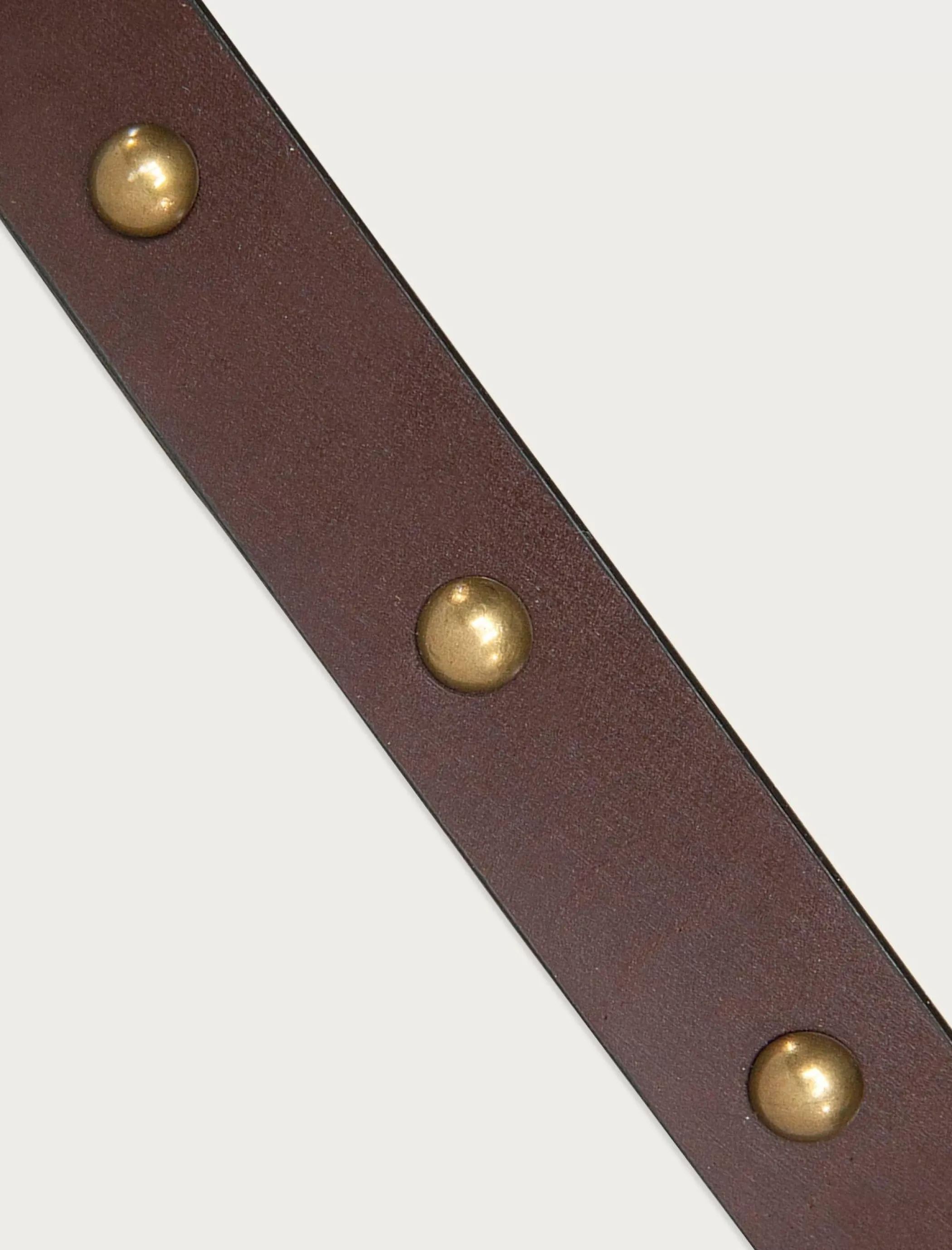 Lucky Brand Belts*dome studded leather belt dark brown