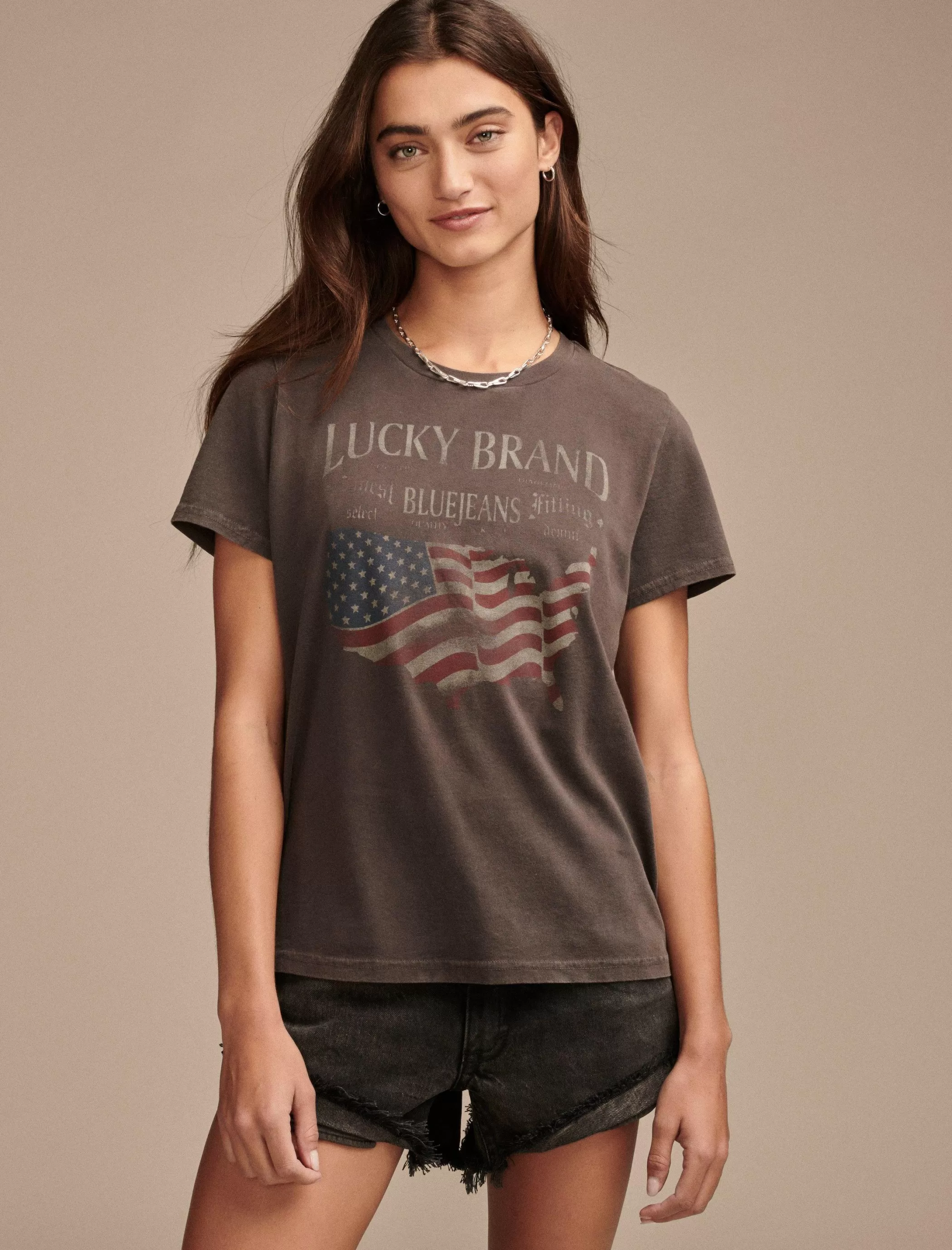 Lucky Brand Graphic Tees* america classic crew pavement